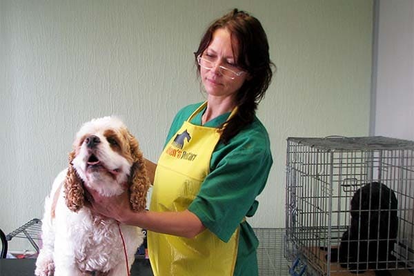 helen-kulesha-oma-firma-helens-pet-care
